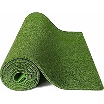 81-v+-9ZYBL._AC_UL210_SR210,